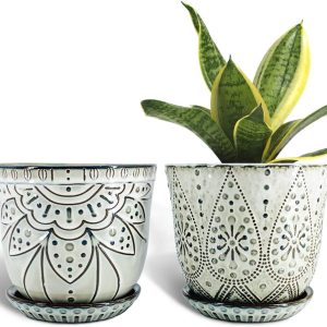 Decorative ceramic pots with trays