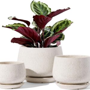 Set of minimalist ceramic pots with trays (3 pcs.)